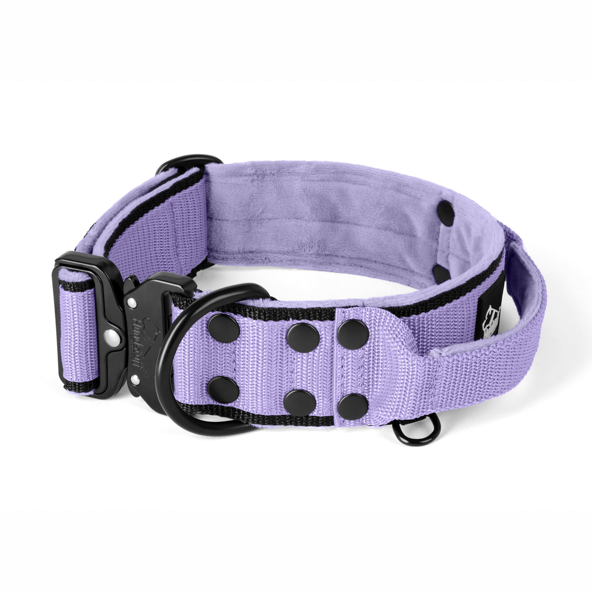 Extreme Buckle Black Edition Baby Purple - Collar resistente y seguro