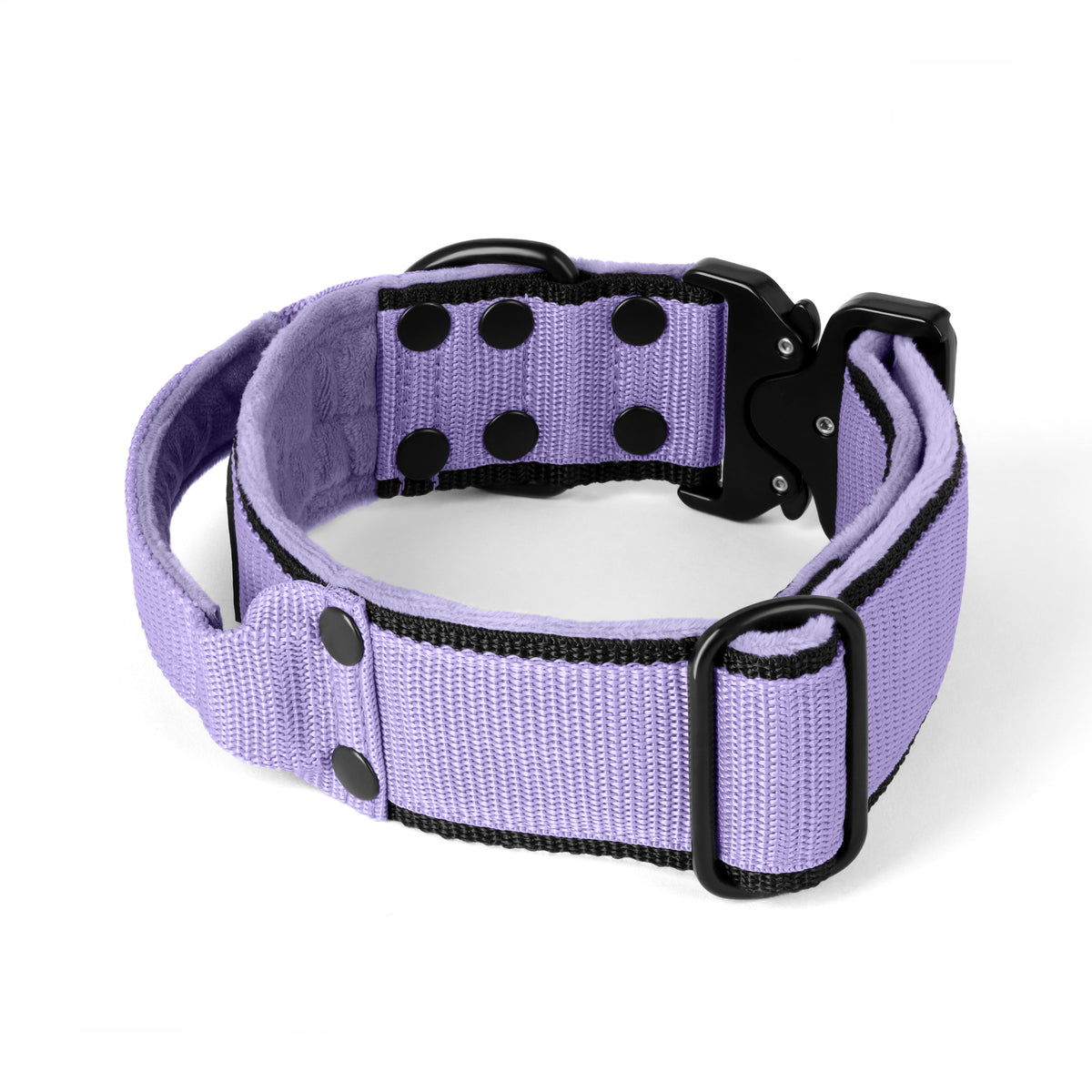 Extreme Buckle Black Edition Baby Purple - Collar resistente y seguro