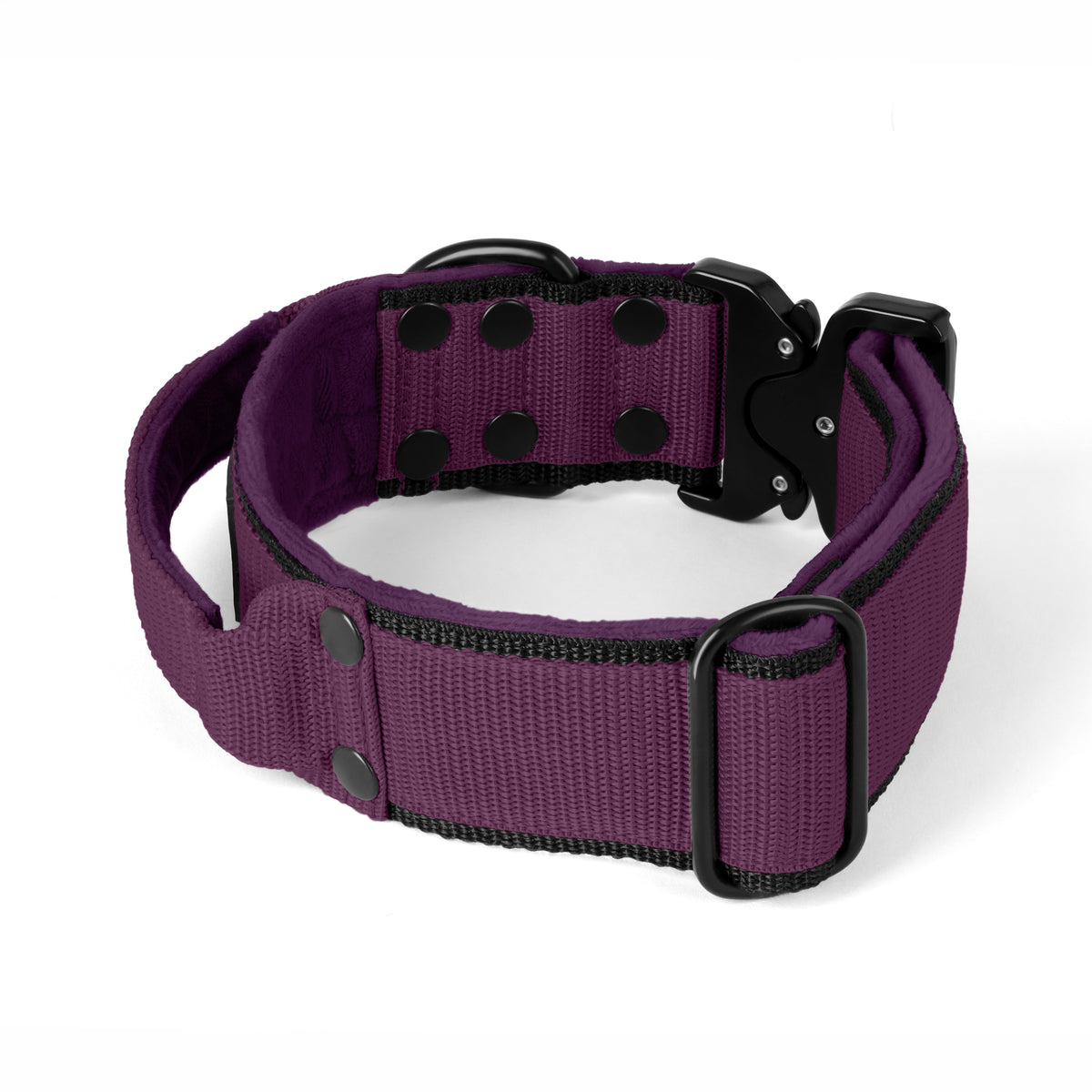Extreme Buckle Black Edition Plum - Collar resistente y seguro