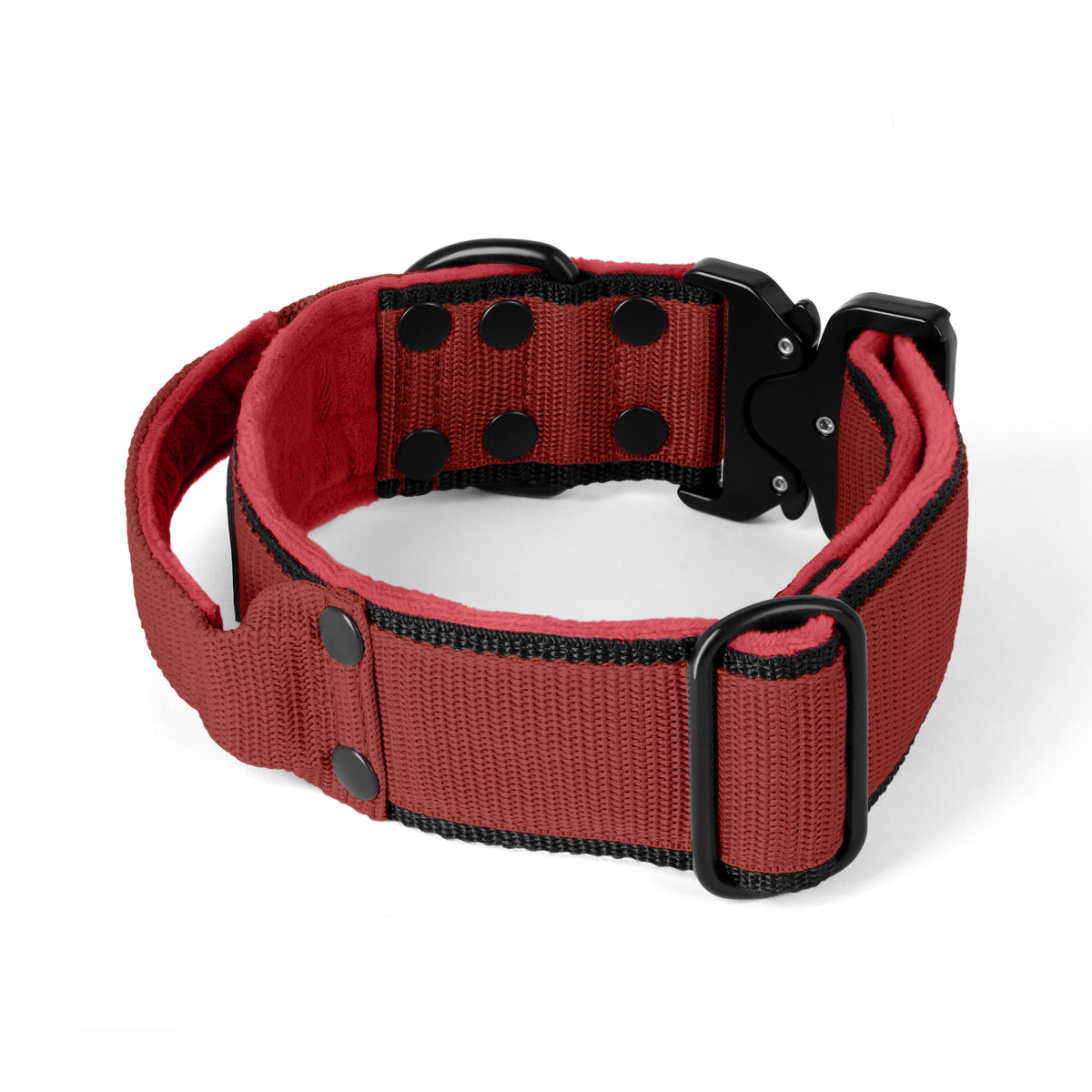 Extreme Buckle Black Edition Orange - Collar fuerte y seguro