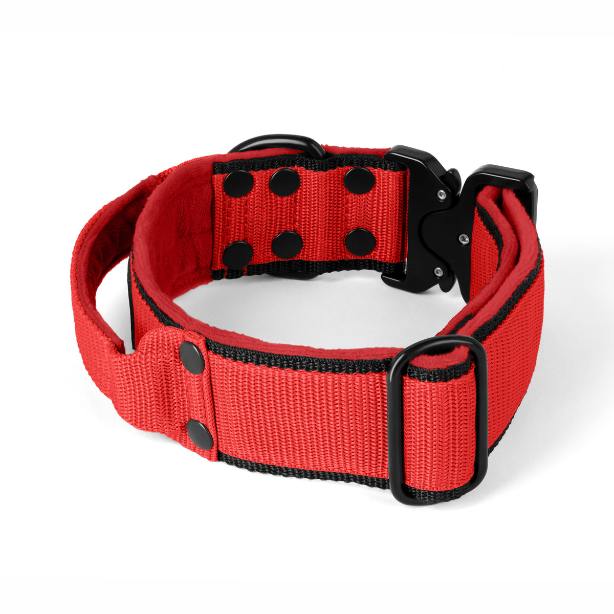 Extreme Buckle Black Edition Red - Collar resistente y seguro