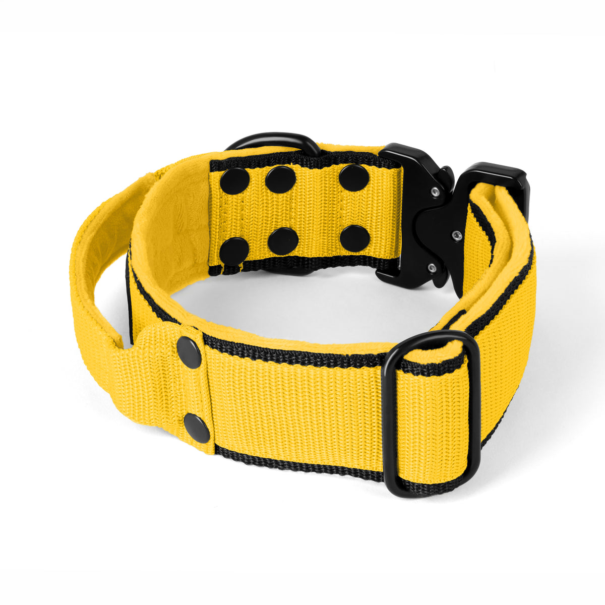 Extreme Buckle Black Edition Yellow - Collar resistente y seguro