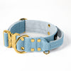Extreme Gold Buckle Baby Blue - Collar resistente y seguro