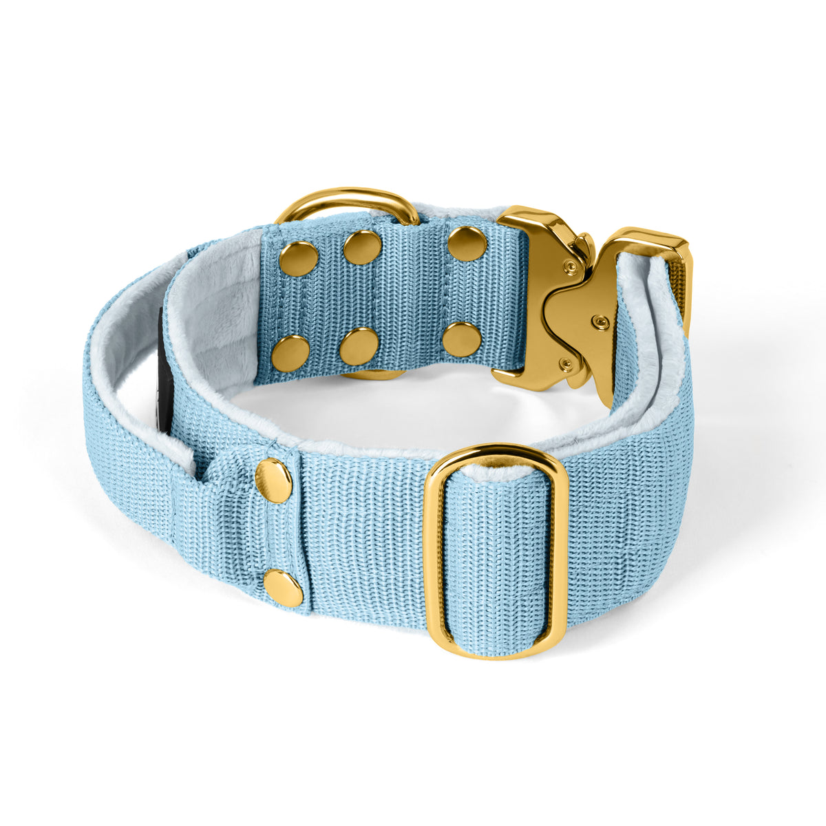 Extreme Gold Buckle Baby Blue - Collar resistente y seguro