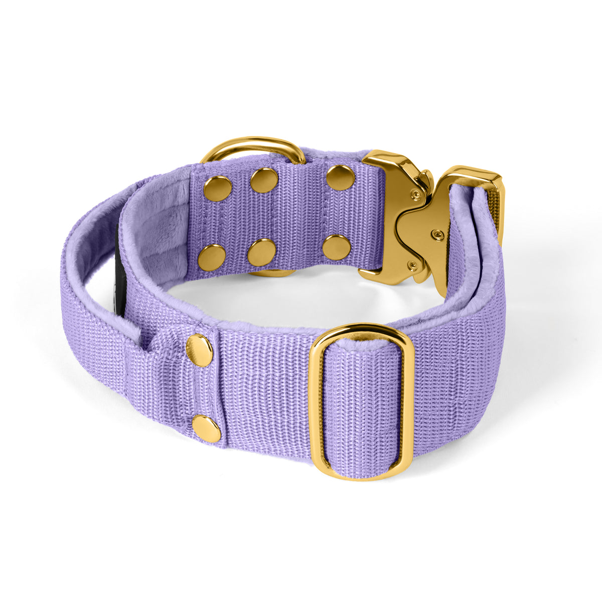 Extreme Gold Buckle Beige - Collar resistente y seguro