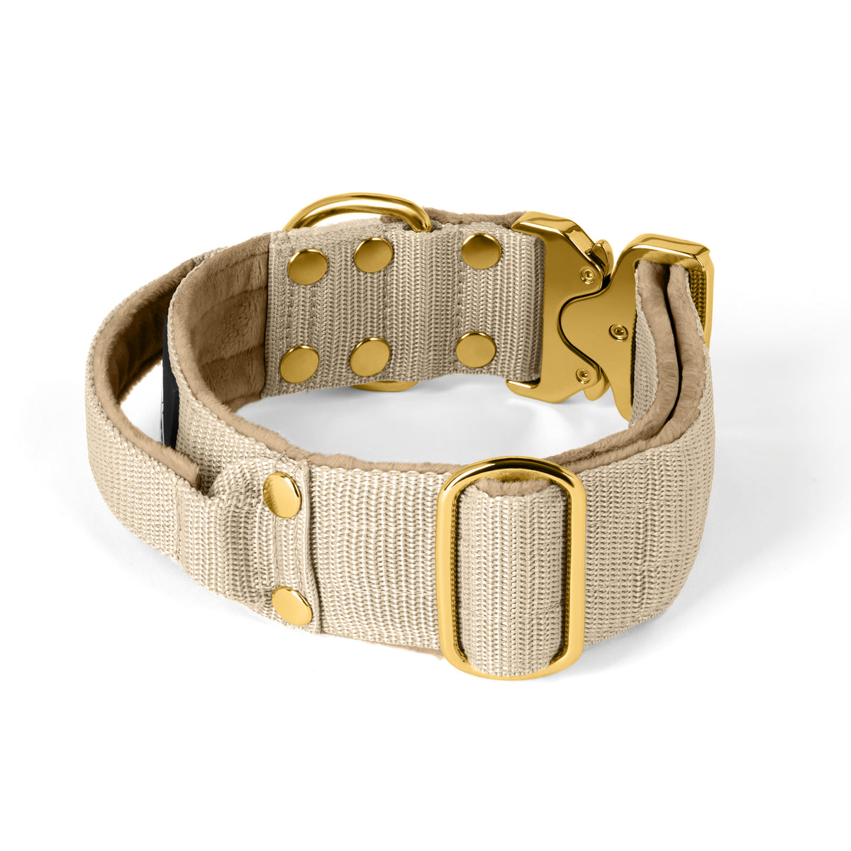 Extreme Gold Buckle Beige - Collar resistente y seguro