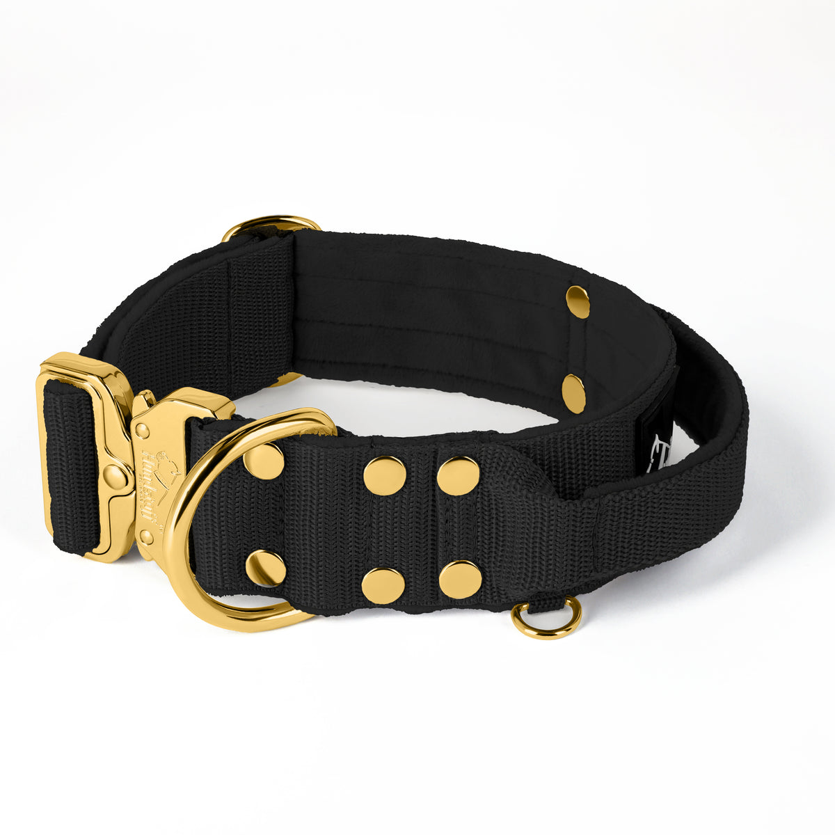 Extreme Gold Buckle Black - Collar fuerte y seguro