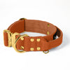 Extreme Gold Buckle Burned Orange - Collar resistente y seguro