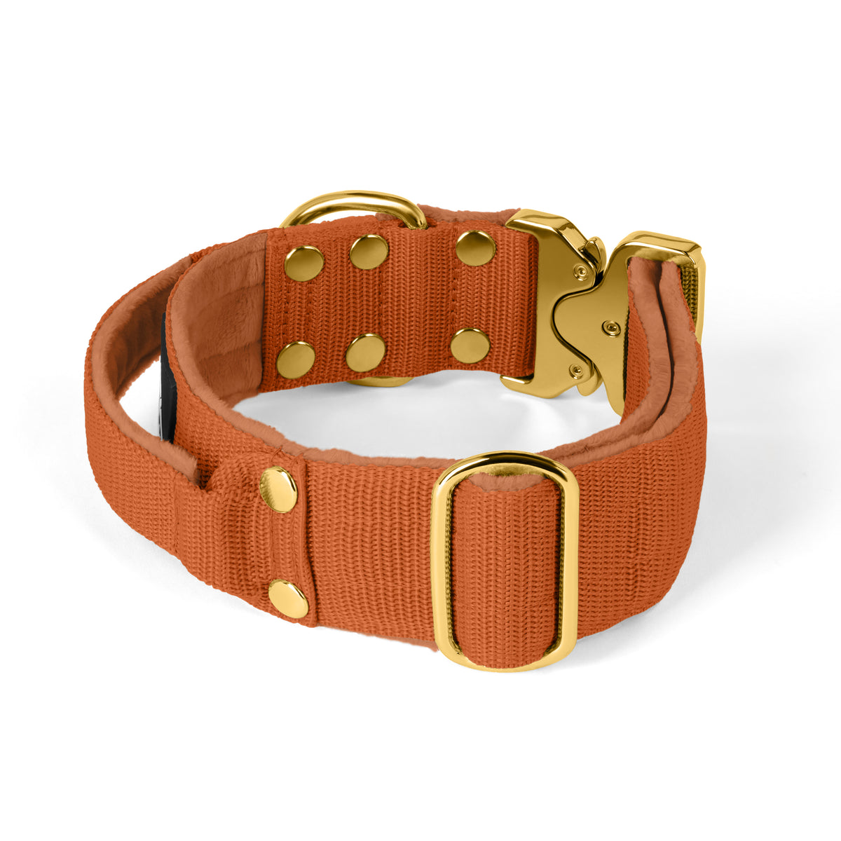 Extreme Gold Buckle Burned Orange - Collar resistente y seguro
