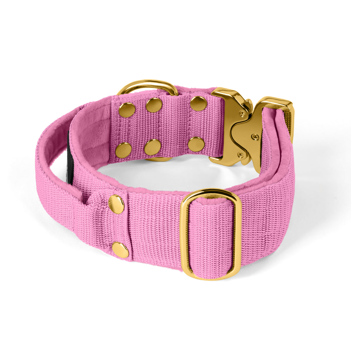 Extreme Gold Buckle Candy Pink - Collar resistente y seguro