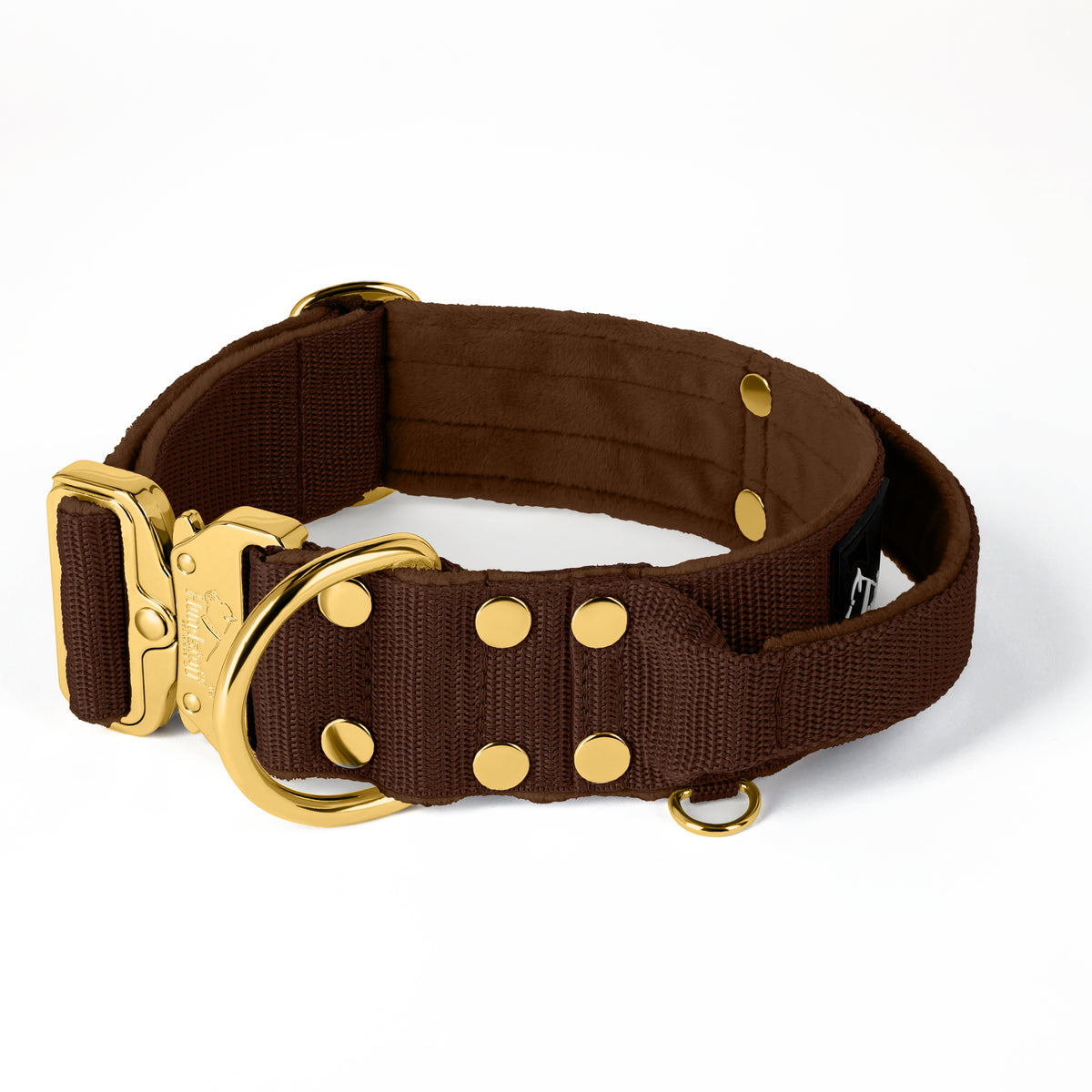 Extreme Gold Buckle Dark Brown - Collar fuerte y seguro