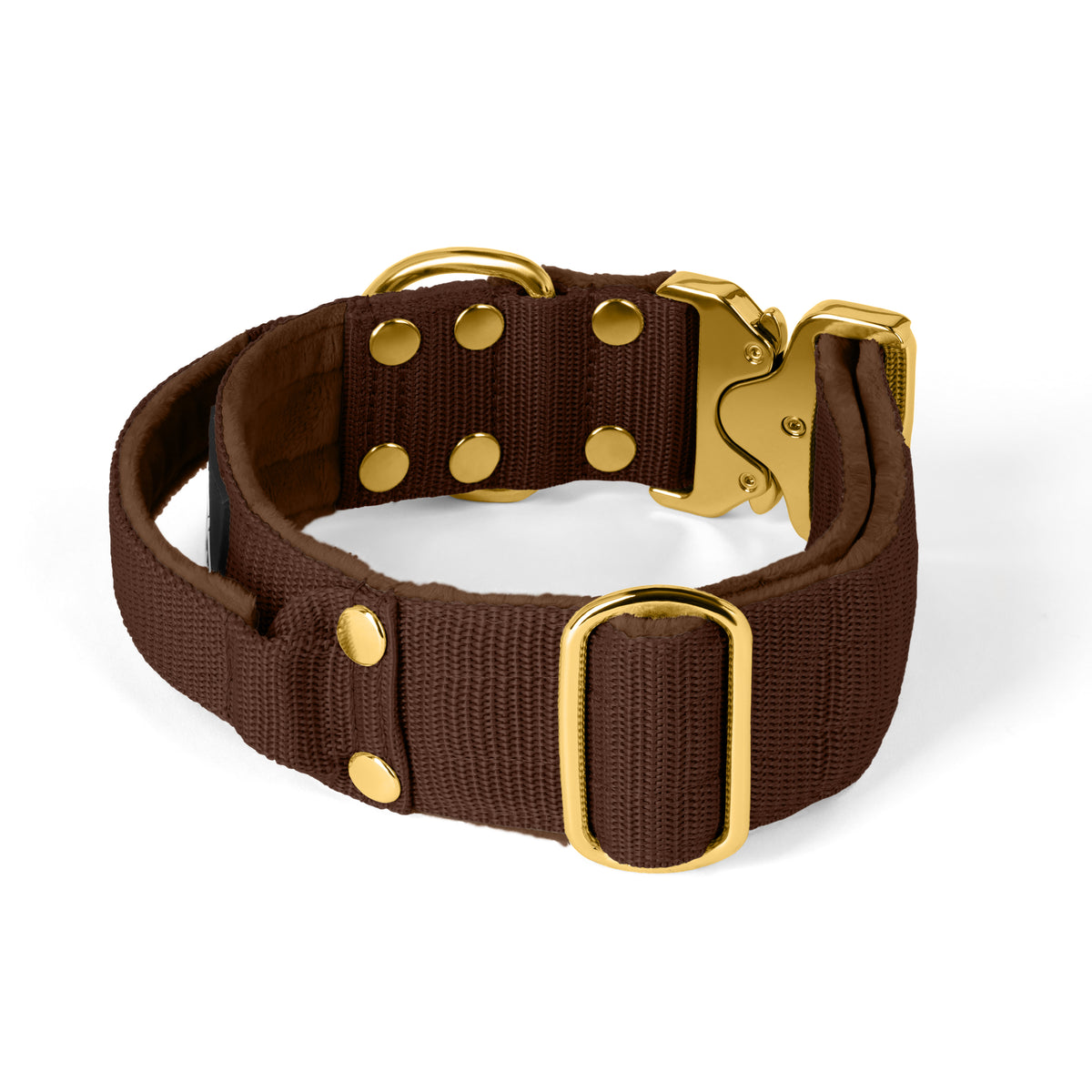 Extreme Gold Buckle Dark Brown - Collar fuerte y seguro
