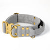 Extreme Gold Buckle Grey - Collar resistente y seguro