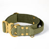 Extreme Gold Buckle Olive Green - Collar resistente y seguro