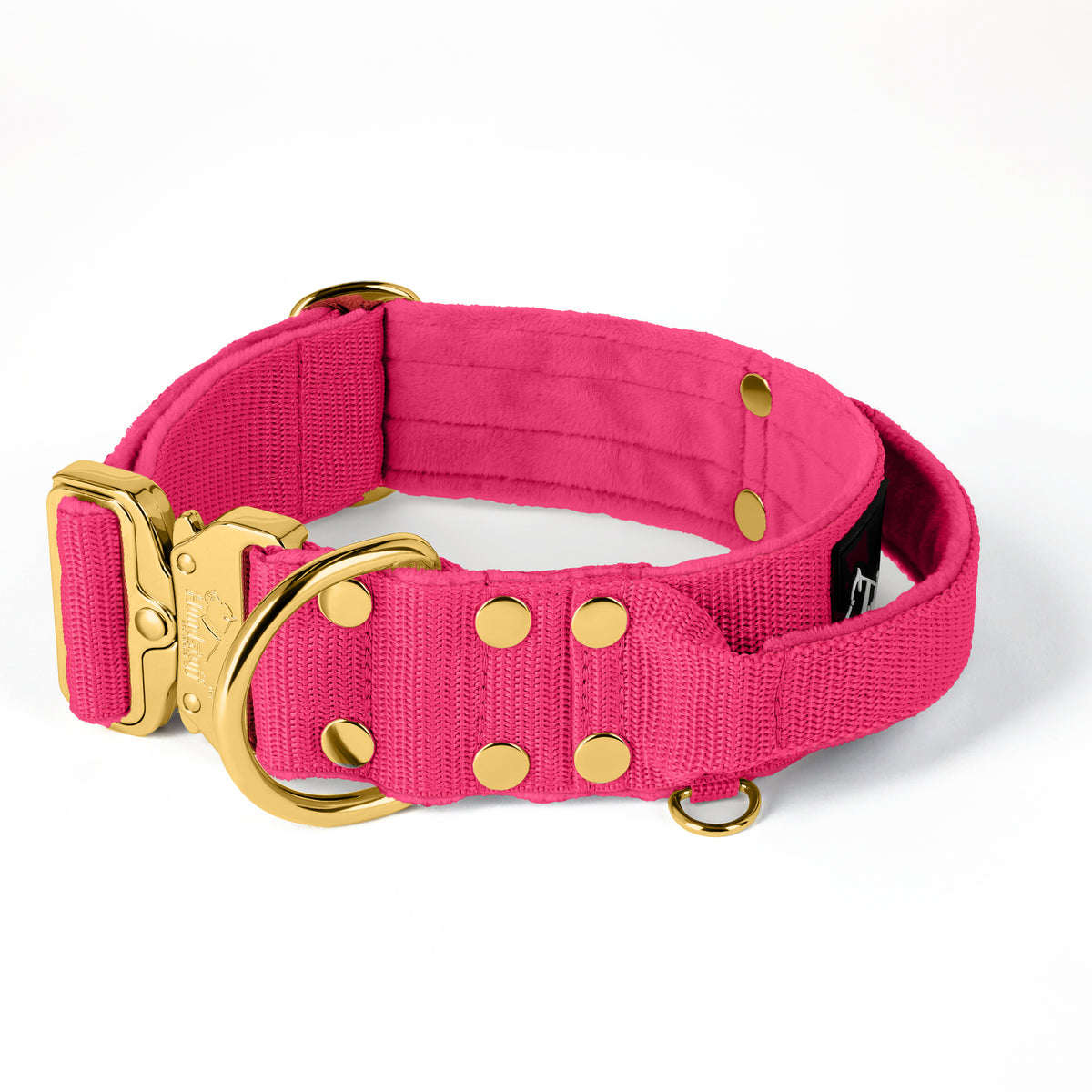 Extreme Gold Buckle Beige - Collar resistente y seguro