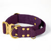 Extreme Gold Buckle Plum - Collar fuerte y seguro