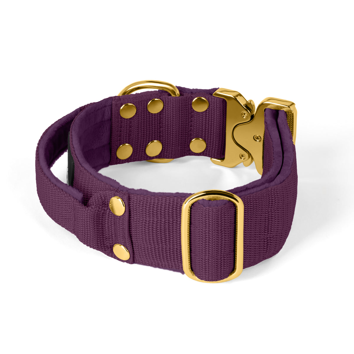 Extreme Gold Buckle Plum - Collar fuerte y seguro