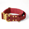 Extreme Gold Buckle Raspberry Red - Collar resistente y seguro