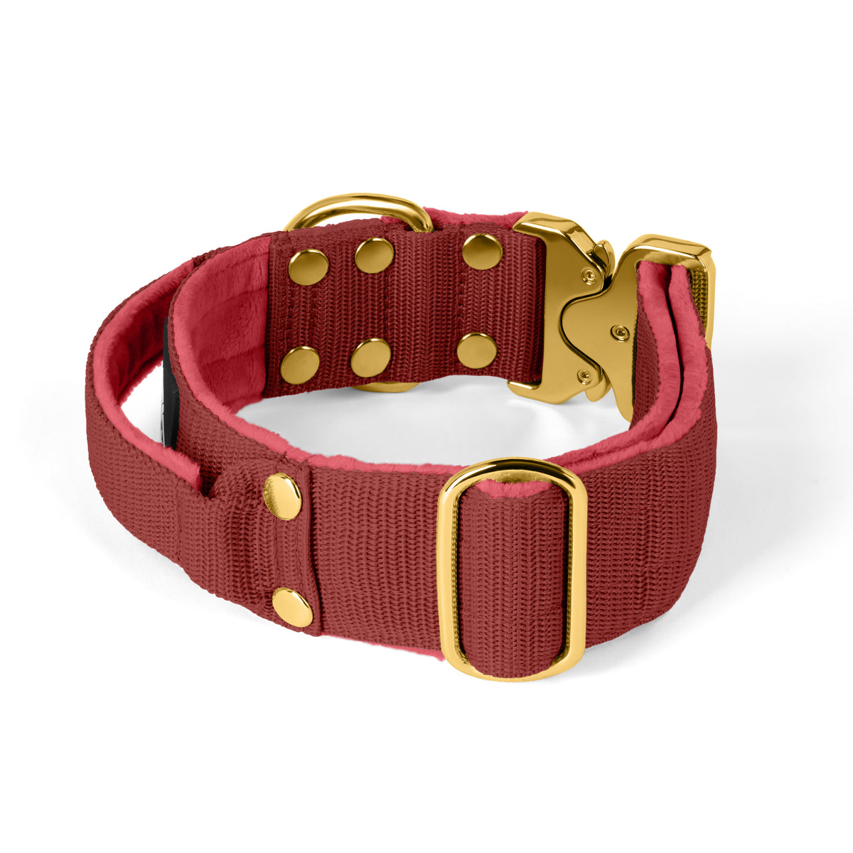 Extreme Gold Buckle Raspberry Red - Collar resistente y seguro