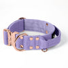 Extreme Rose Buckle Grey - Collar fuerte y seguro