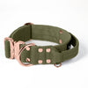 Extreme Rose Buckle Grey - Collar fuerte y seguro