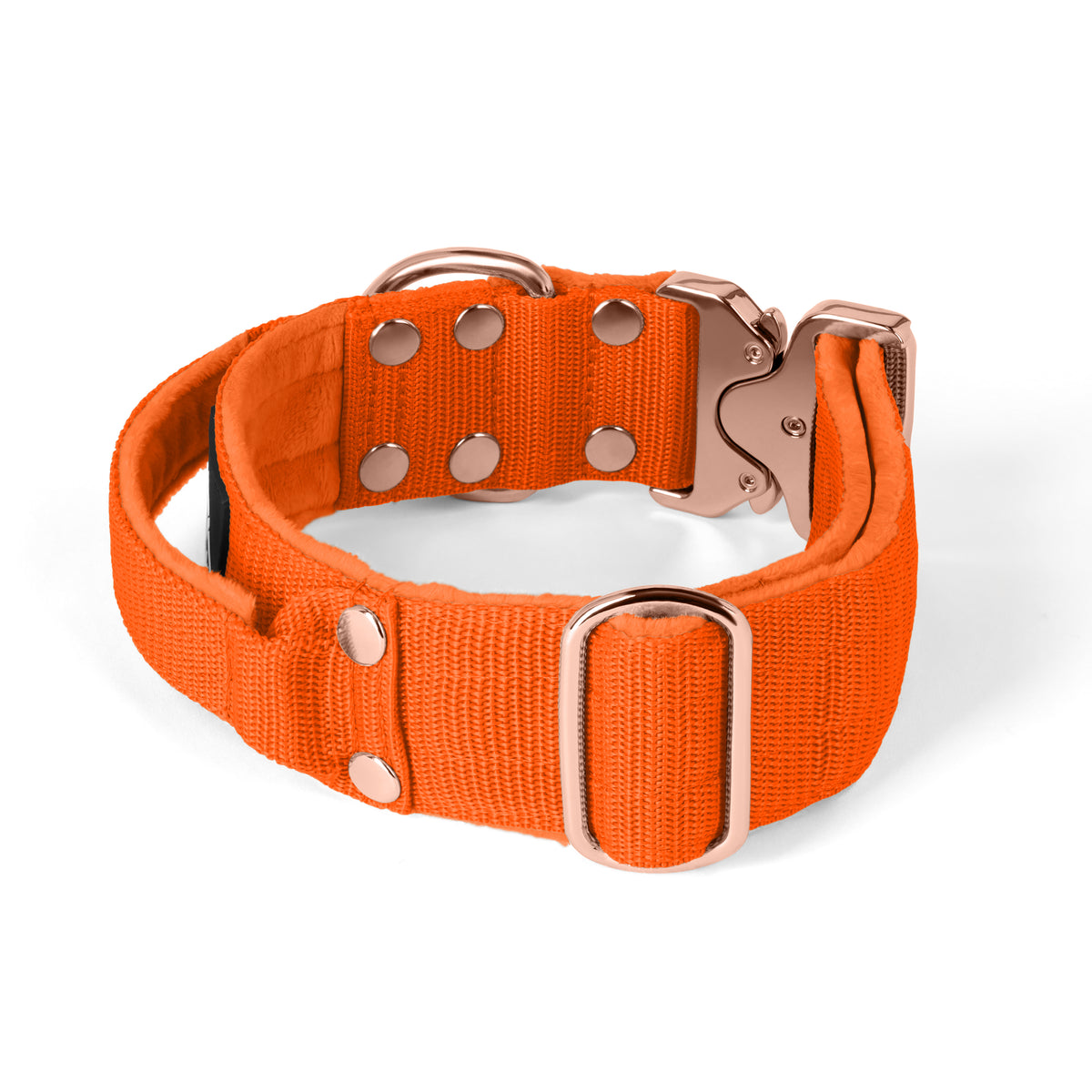 Extreme Rose Buckle Grey - Collar fuerte y seguro