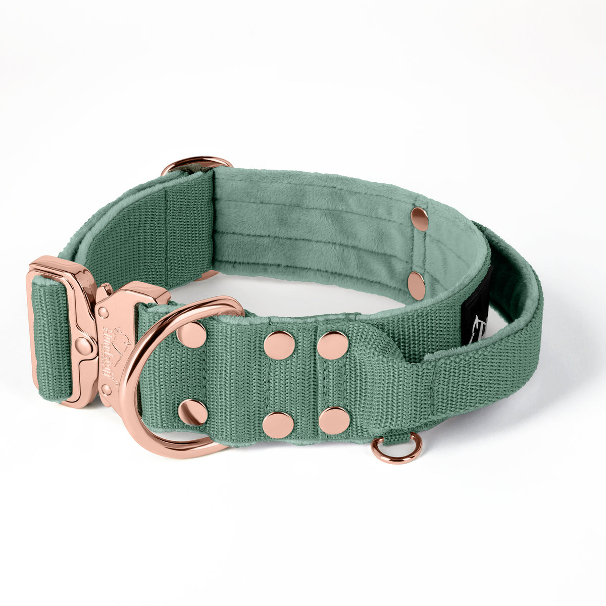 SALE Extreme Rose Buckle Verde Pastel, Talla L, Ancho 4 cm, Con asa