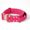 Extreme Rose Buckle Pink - Collar resistente y seguro