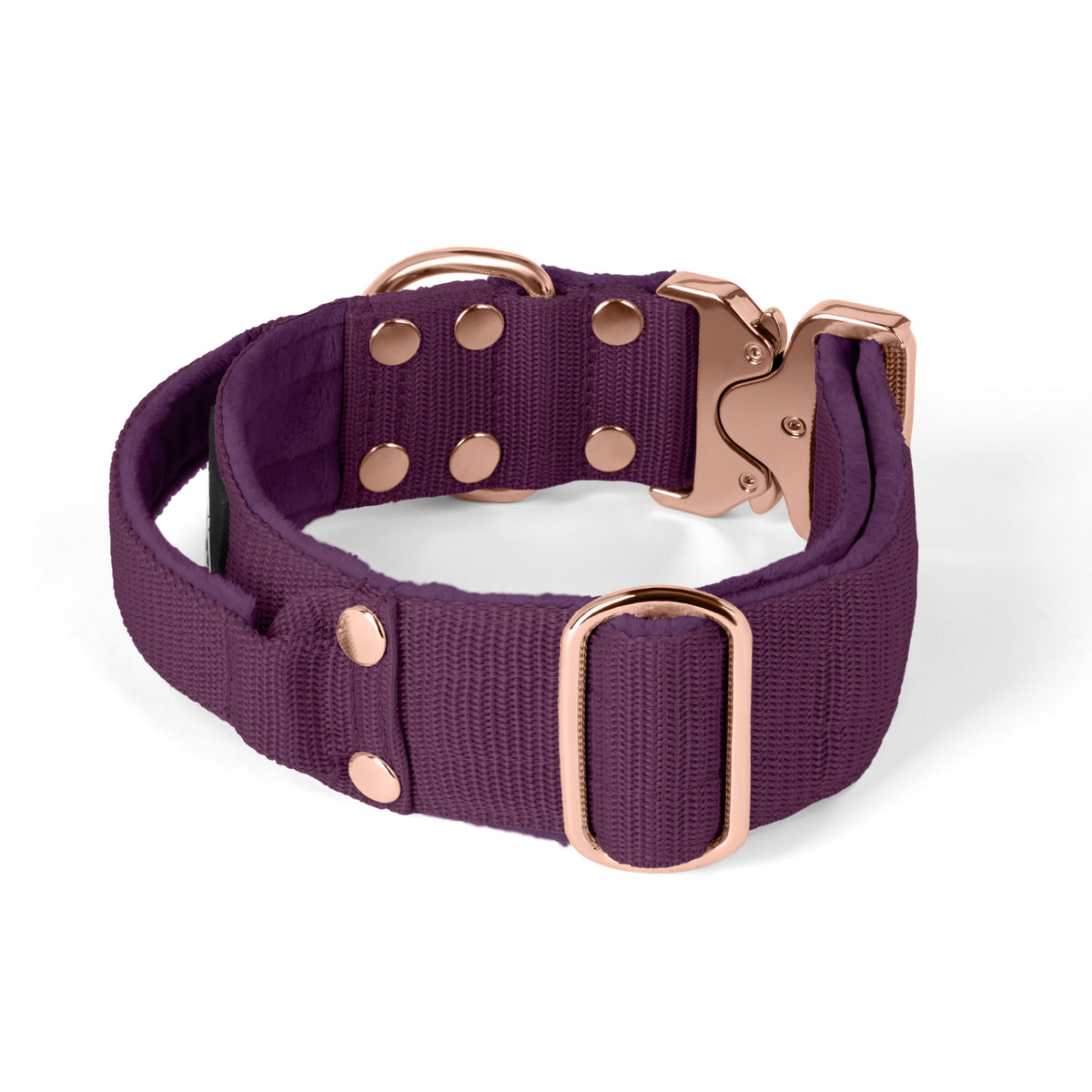 Extreme Rose Buckle Plum - Collar fuerte y seguro