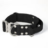 Extreme Silver Buckle Black - Collar fuerte y seguro