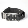 Extreme Silver Buckle Pink - Collar resistente y seguro