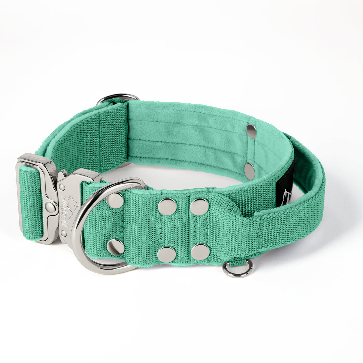 Extreme Silver Buckle Mint - Collar resistente y seguro