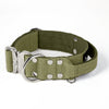 Extreme Silver Buckle Pink - Collar resistente y seguro
