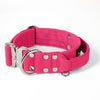 Extreme Silver Buckle Pink - Collar resistente y seguro