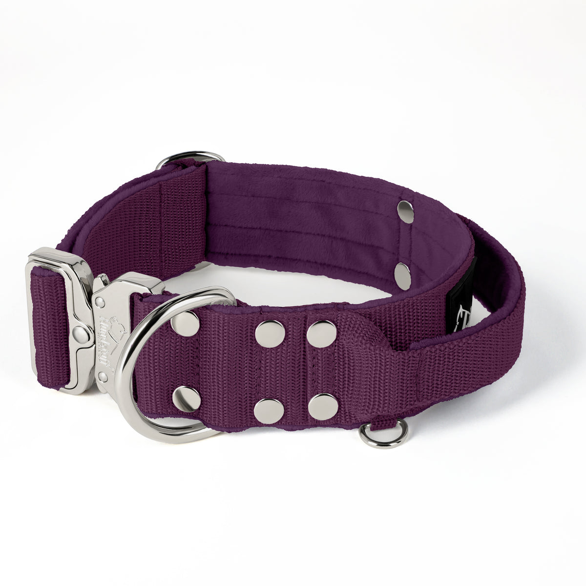 Extreme Silver Buckle Plum - Collar resistente y seguro