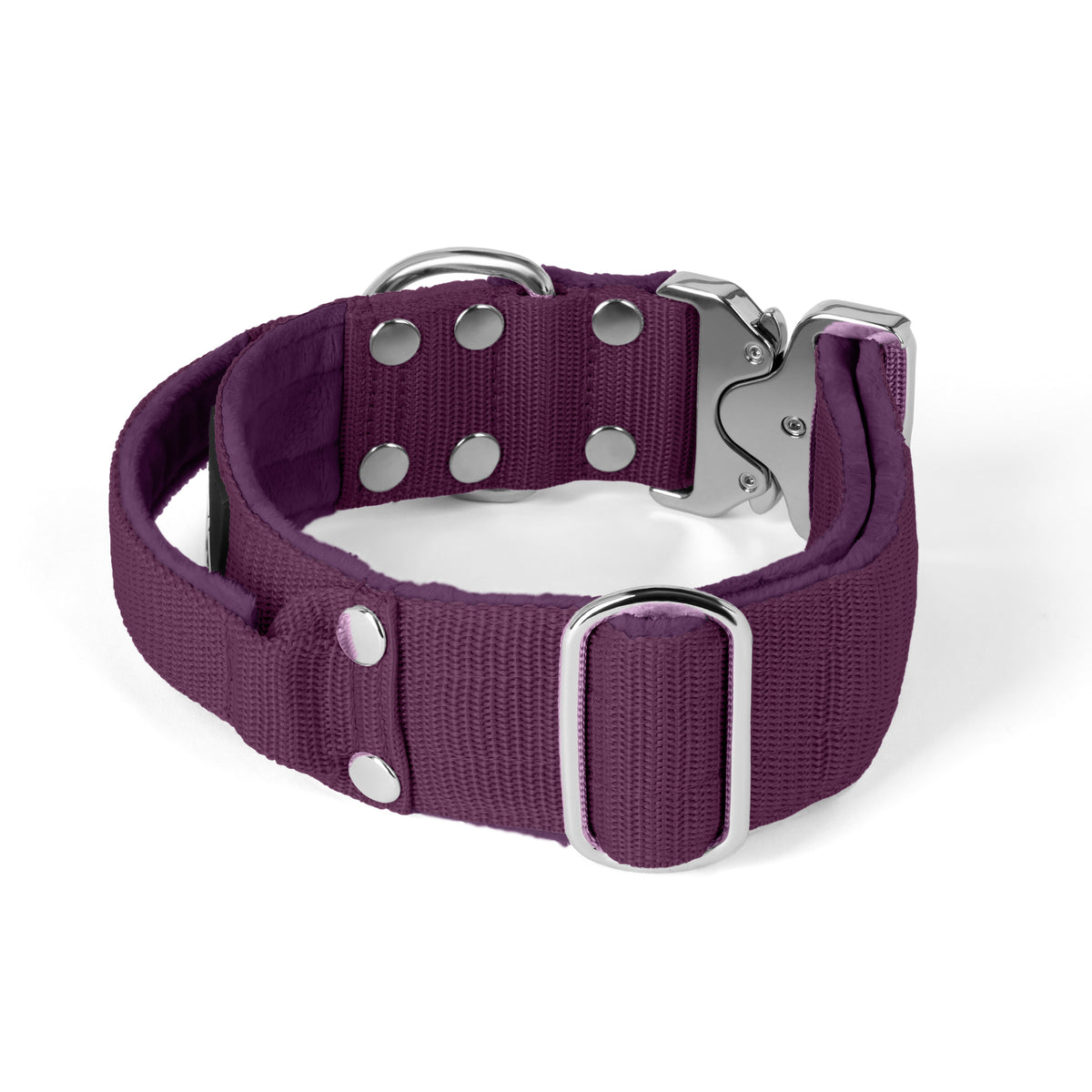 Extreme Silver Buckle Plum - Collar resistente y seguro