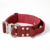 Extreme Silver Buckle Pink - Collar resistente y seguro