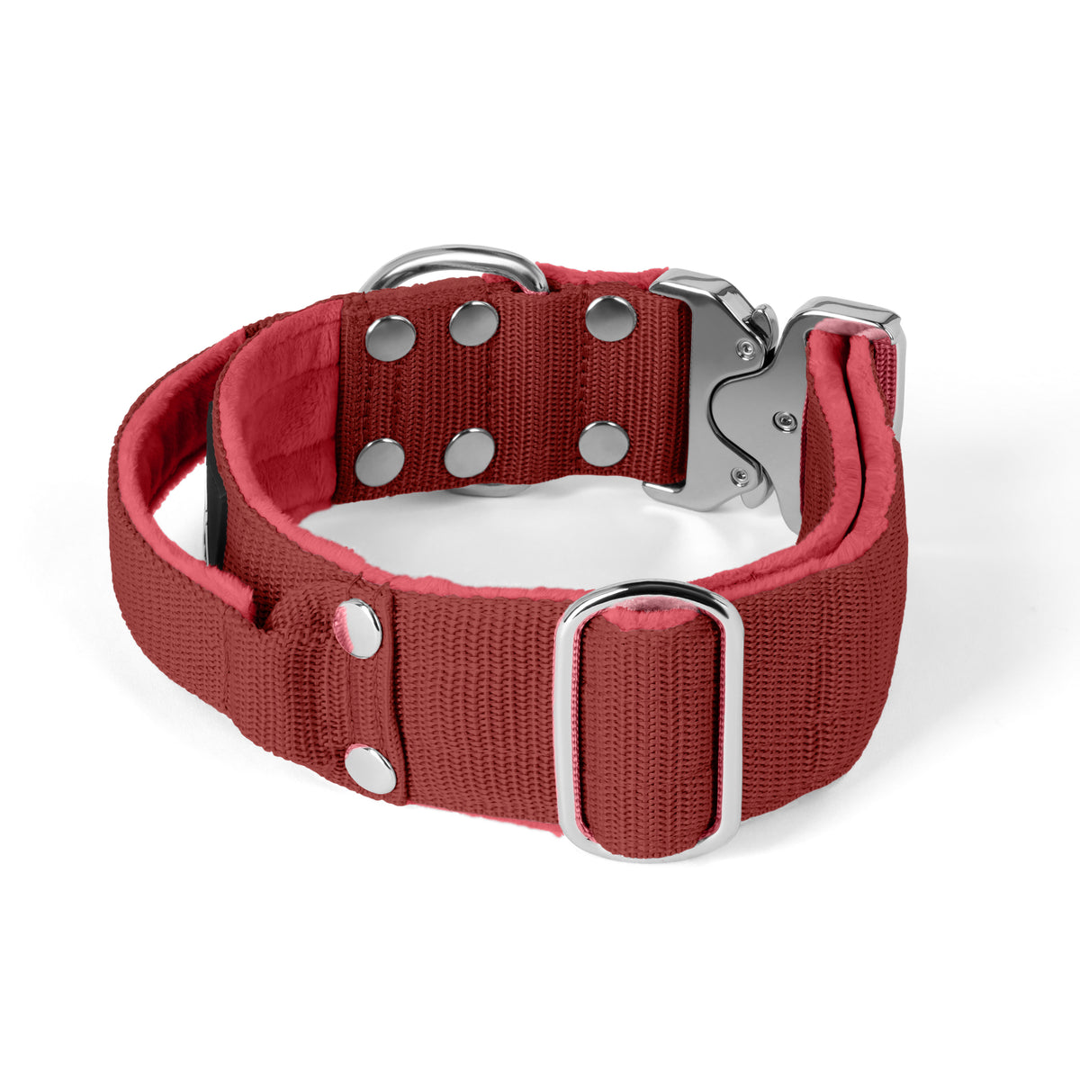 Extreme Silver Buckle Pink - Collar resistente y seguro
