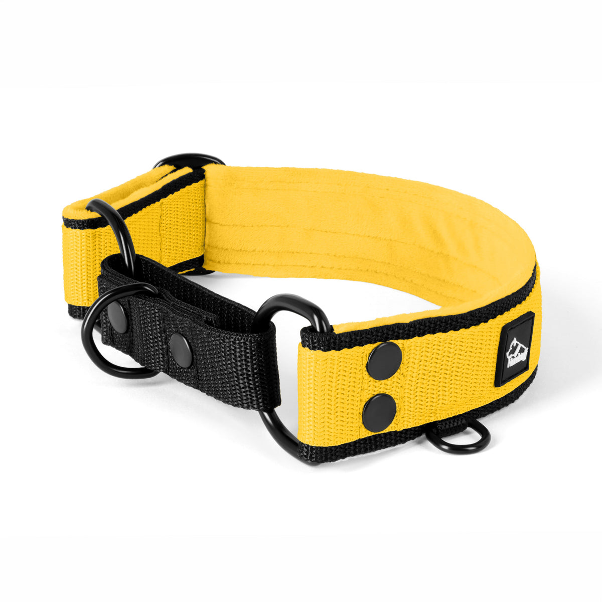 Hundstaff Martingale Black Edition Yellow