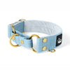 Martingale Golden Baby Blue - Cuello doblado forrado medio planchado