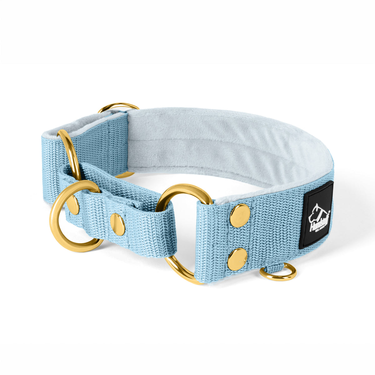 Martingale Golden Baby Blue - Cuello doblado forrado medio planchado