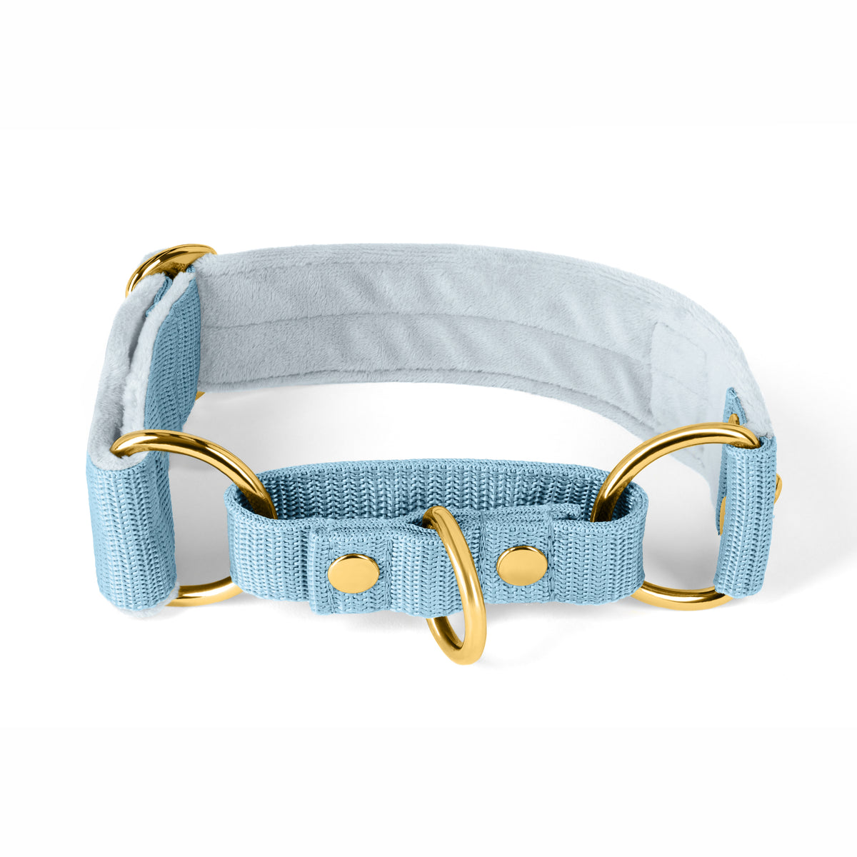 Martingale Golden Baby Blue - Cuello doblado forrado medio planchado