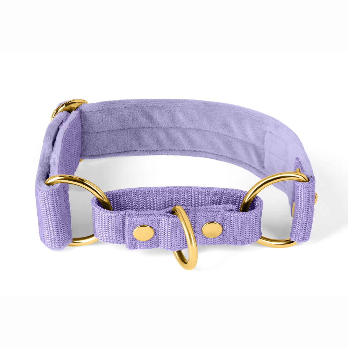 Martingale Golden Plum - Cuello doblado forrado medio planchado