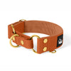 Martingala Golden Burned Orange - Cuello doblado forrado medio planchado