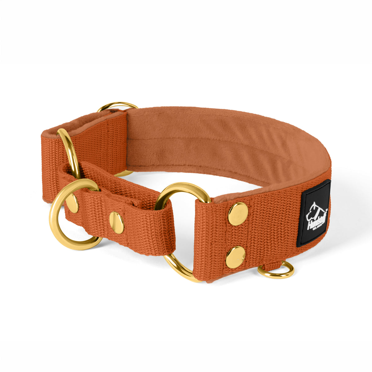 Martingala Golden Burned Orange - Cuello doblado forrado medio planchado