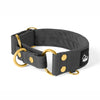 Martingale Golden Dark Grey - Cuello ancho forrado semi-aplanado