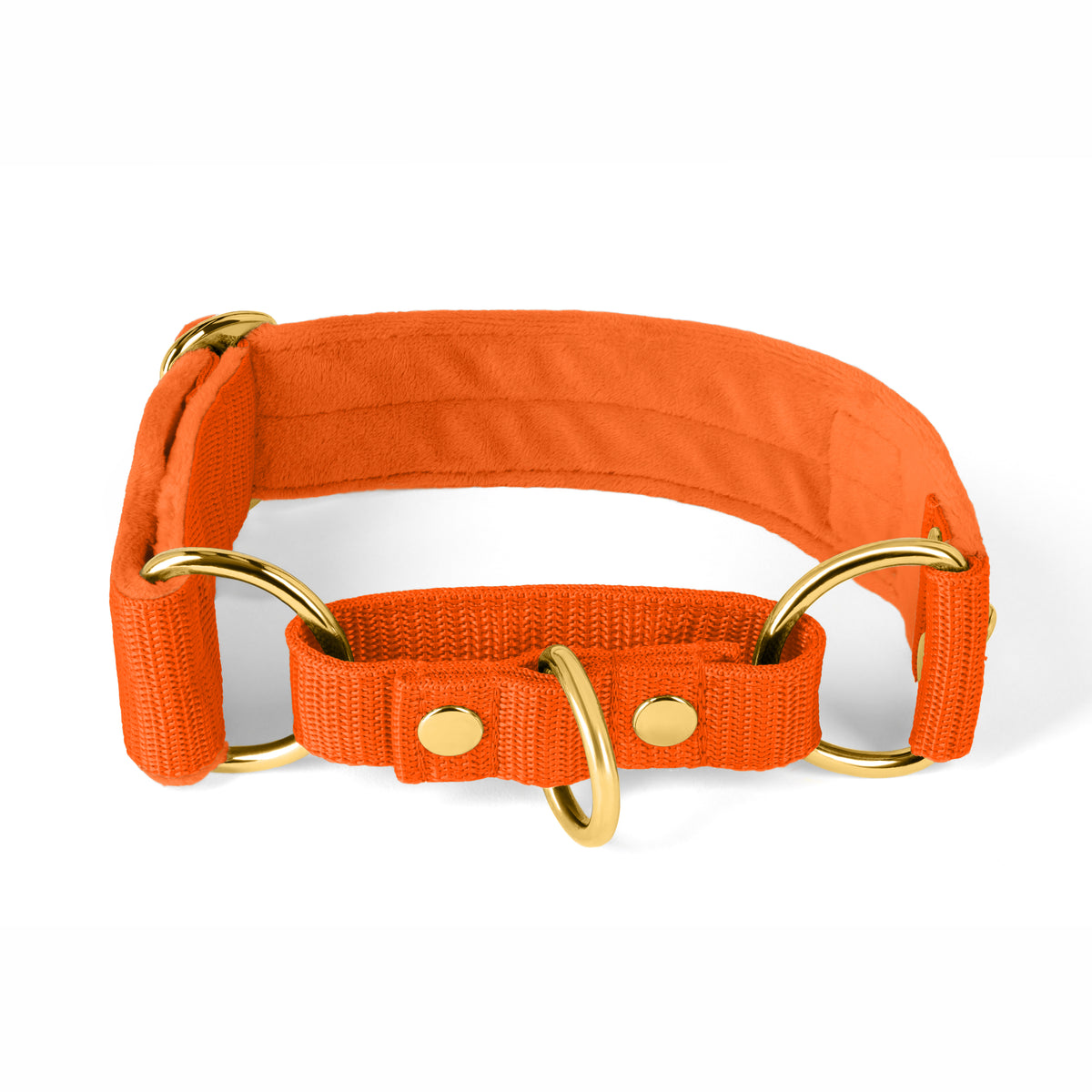 Martingale Golden Plum - Cuello doblado forrado medio planchado