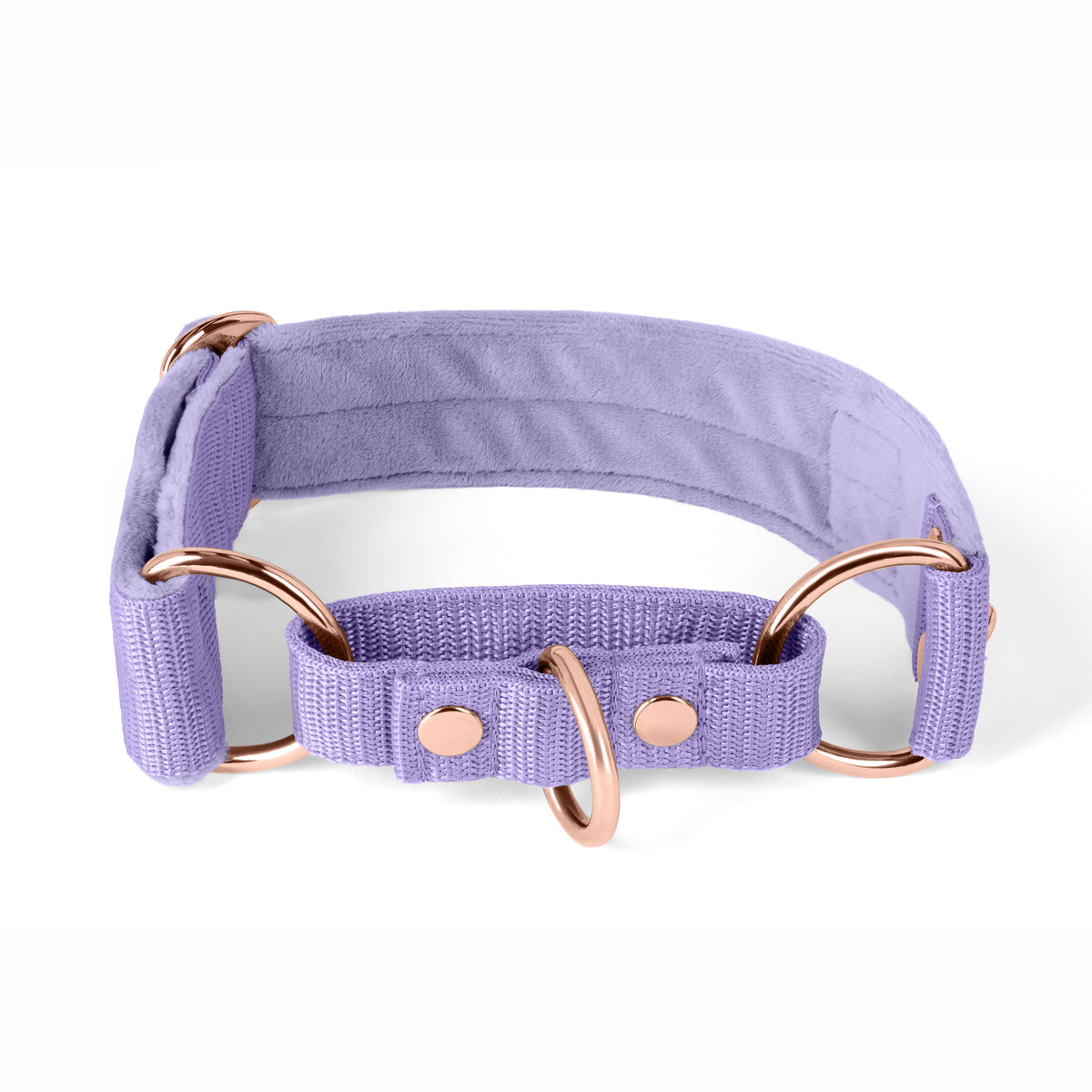 Martingale Pink Edition Rosa - Collar forrado doblado medio planchado