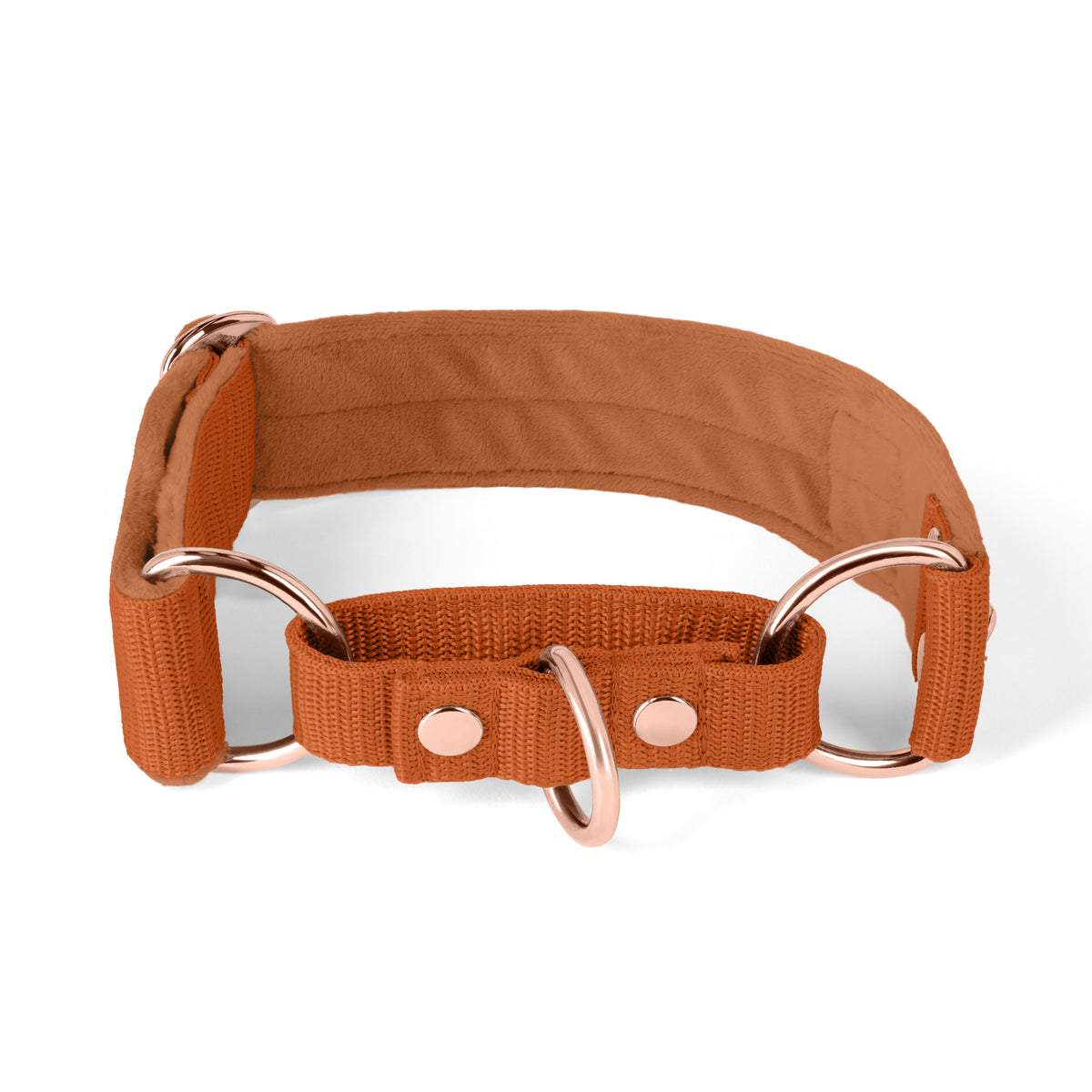 Martingale Pink Edition Rosa - Collar forrado doblado medio planchado