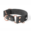 Martingale Pink Edition Rosa - Collar forrado doblado medio planchado